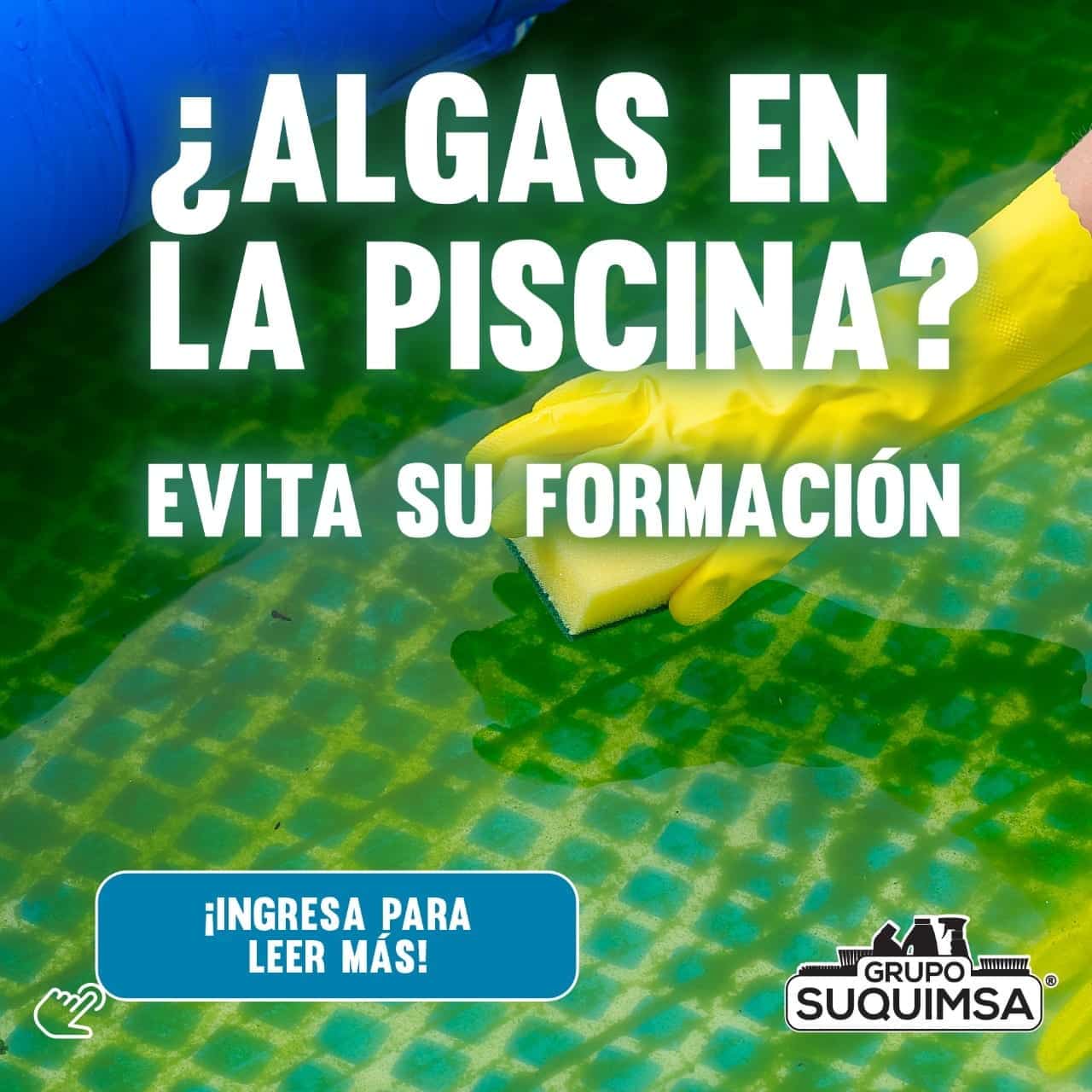 Algas en la Piscina_ Evita su formación